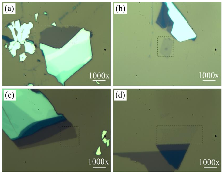 圖 3.3 低溫氧等離子體處理后單層 M o S 2 薄膜的光學顯微鏡圖。（a）樣品 1 # 的光鏡圖，（b）樣 品 2 # 處理 1 0 s 的光鏡圖，（ c）樣品 3 # 處理 2 0 s 的光鏡圖和（ d）樣品 4 # 處理 4 0 s 的光鏡圖。