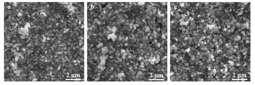 鋁合金基體的SEM圖像